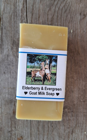 Elderberry and Evergreen Bar