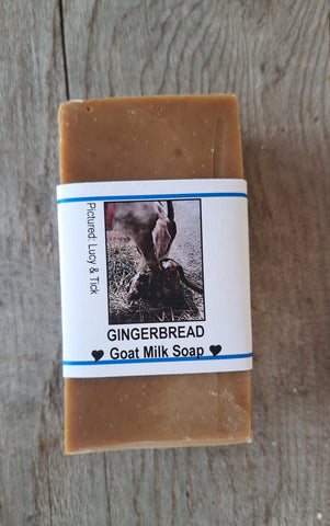 Gingerbread Bar