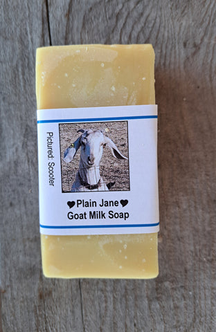 Plain Jane Bar